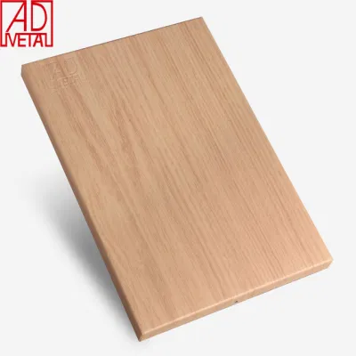 Hoja/panel de aluminio sólido anodizado ignífugo para decoración de muro cortina